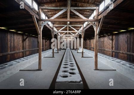 KZ Auschwitz Für Gefangene gab es Gemeinschaftstoiletten in Latrinenschuppen *** Auschwitz concentration camp There were communal toilets for prisoners in latrine sheds xMMx Credit: Imago/Alamy Live News Stock Photo