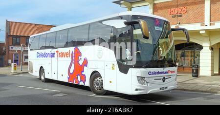 Caledonian Travel holiday business tour coach brand name Scottish Lion logo side front views Mercedes coach driver navigating Wroxham Norfolk UK Stock Photo
