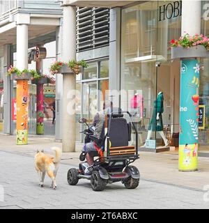 Man driving a disability scooter on a pedestrianised shopping mall taking his dog for a walk on an attached lead in Bury St Edmunds Suffolk England UK Stock Photo