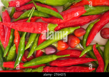 An assortment of hot chilli peppers, red, green and purple Stock Photo