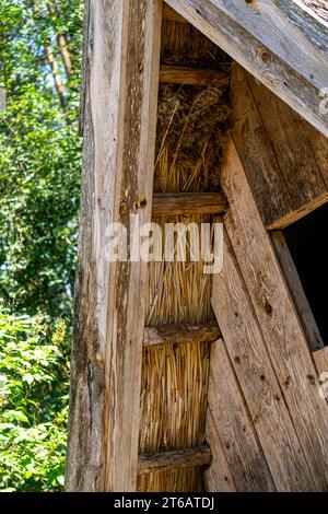 Using river reed for roof insulation Stock Photo