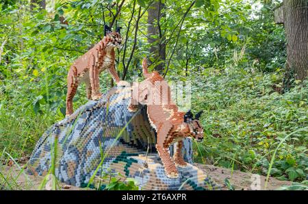 Zoo Planckendael, Mechelen, Belgium - Aug 29, 2023: Caracal cats playing on rock made of Lego blocks. Brick Safari and Animal Expo. Stock Photo