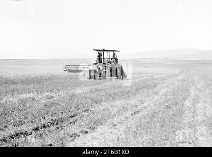 Modern harvester on Plain of Esdraelon, Jezreel Valley, northern Mandatory Palestine, G. Eric and Edith Matson Photograph Collection, May 26, 1935 Stock Photo