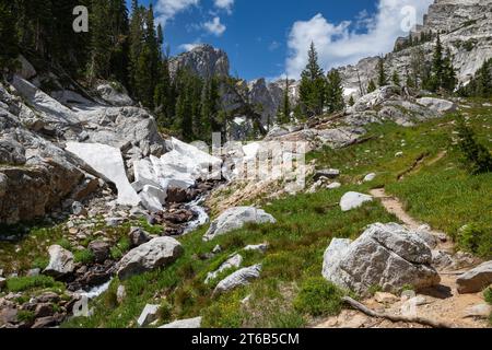 WY05760-00...WYOMING - Hanging Canyon Trail winding through a meadow below Ramshead Lake in Grand Teton National Park. Stock Photo