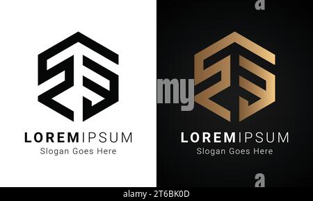 Luxury Initial BR or RB Monogram Text Letter Logo Design Stock Vector
