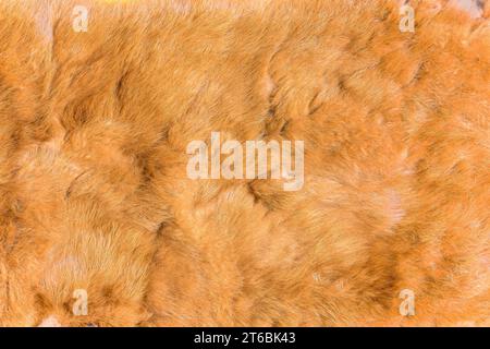 Close-up of a texture photograph illustrating the tactile feel of a red fox fur fabric featuring a soft, velvety surface meticulously crafted Stock Photo