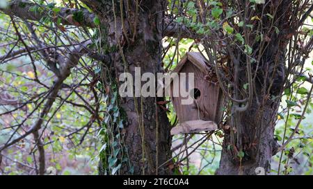 Wood bird house bird nest hanging on a tree with nature tree forest background. Stock Photo