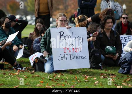 Lewisburg, United States. 09th Nov, 2023. Protesters hold placards as they sit outside of a campus building during the 'Shut it Down for Palestine' demonstration at Bucknell University. The demonstrators called for an immediate ceasefire in Gaza, cutting aid to Israel, and lifting the siege on Gaza. Credit: SOPA Images Limited/Alamy Live News Stock Photo