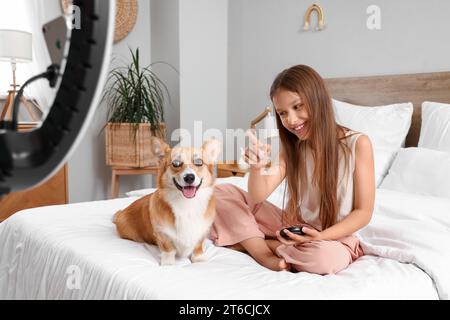 Little girl with makeup powder and Corgi dog recording video in bedroom Stock Photo