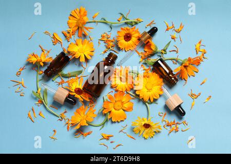 Flat lay composition with bottles of essential oils and beautiful calendula flowers on light blue background Stock Photo