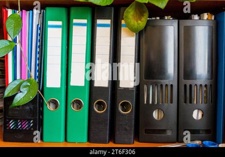 Plastic and paper folders. documents stand on the shelf of the cabinet Stock Photo