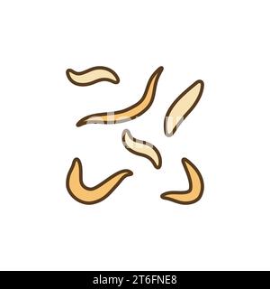 Roundworm Infection vector Ascarids concept colored icon or design element Stock Vector