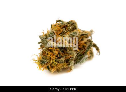 Cannabis flower on white background Stock Photo