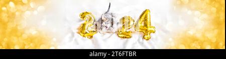 Golden banner Christmas card cat 2024, Kitty with gold foil balloons number 2024 new year, Striped kitten on Christmas festive white background Stock Photo