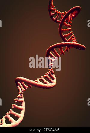 Single-stranded molecule of RNA called messenger ribonucleic acid - 3d illustration Stock Photo