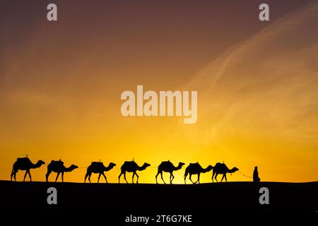 Sunrise silhouette of camels and handler, in the sand dunes of Merzouga, the Sahara Desert, Morocco Stock Photo