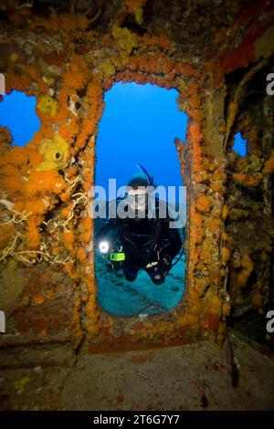 Female scuba diver shines underwater light through doorway on the shipwreck of the USCG Duane, Key Largo, Florida Stock Photo