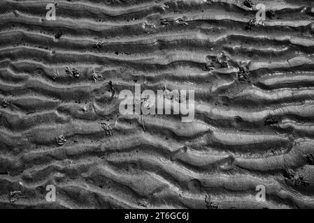 Close up of Shoreline showing wavy lines in the sand. Black and White Stock Photo