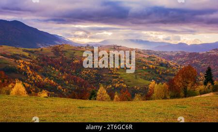 rural landscape on a cloudy morning in autumn. stunning mountainous countryside scenery with forested hills and grassy meadows Stock Photo