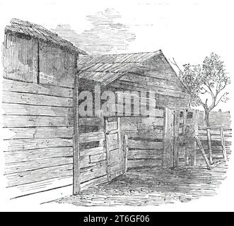 Early home of the President of the United States, Elizabeth Town, Kentucky - from a photograph by S. Alschuler, Chicago, 1860. 'The father of Abraham Lincoln was thrown upon his own resources while yet a child. Travelling from place to place, working wherever he could find employment, he grew up literally without education. He finally settled in Hardin County, Kentucky, where, in 1806, he was married to Nancy Hanks. The fruits of this union were a daughter and two sons. One of the latter died in infancy; the daughter died later in life. Abraham Lincoln was born February 12, 1809. It would be d Stock Photo
