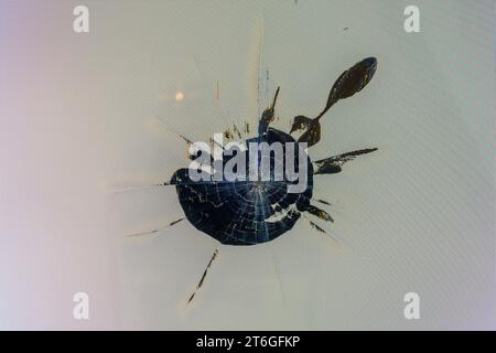 damaged LCD screen with cracks, full-frame background and texture Stock Photo