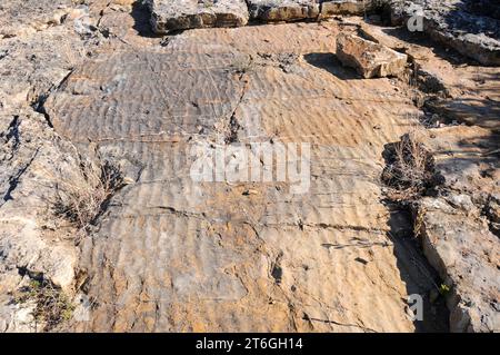 Fossilized ripple marks, a sedimentary structure produced by water or wind. This photo was taken in Isona, Lleida province, Catalonia, Spain. Stock Photo