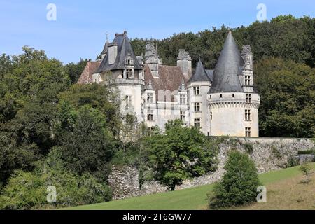 Puyguilhem Castle. In the Périgord Vert countryside, the Château de Puyguilhem, built in the 16th century, has a Renaissance style close to that of th Stock Photo