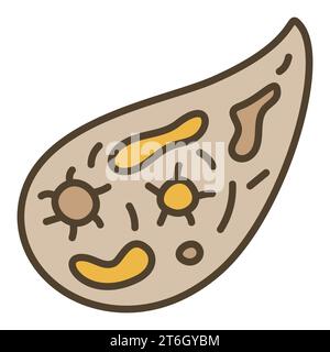 Bacteria or Microbe vector Infusorium concept colored icon or design element Stock Vector