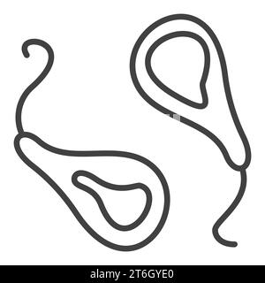 Prokaryote Pair vector concept outline icon or design element Stock Vector