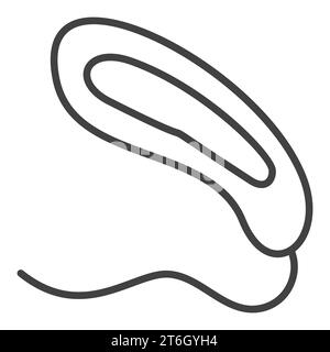 Prokaryote Bacteria vector concept thin line icon or symbol Stock Vector