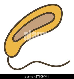 Prokaryote Bacteria vector concept colored seamless pattern Stock ...