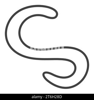 Spiral Bacterium vector Spirilla concept icon or sign in thin line style Stock Vector