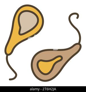 Prokaryote Pair vector Bacterium concept colored icon or symbol Stock Vector