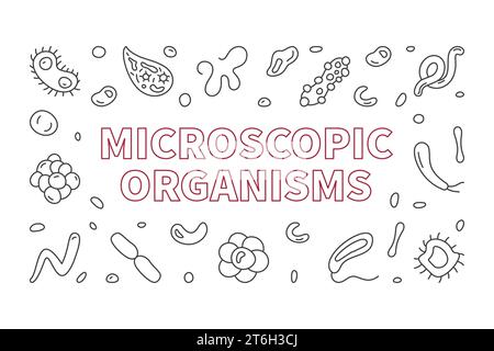 Microscopic Organisms vector Bacteriology concept outline horizontal banner - Microorganism illustration Stock Vector