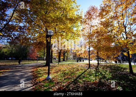University of Michigan Diag, in the Fall Stock Photo