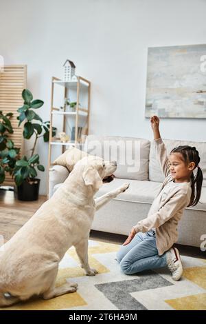 elementary age girl smiling and playing with labrador in modern living room, kid giving treat to dog Stock Photo