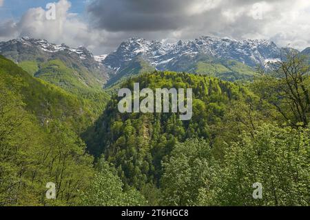 Landscape in Centovalli close to italian Border,Ticino Canton,Switzerland Stock Photo