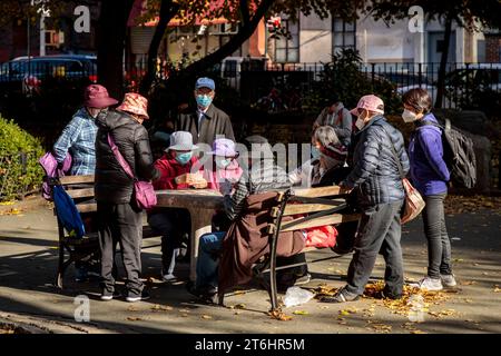 Chinese women playing cards in park, Chinatown, New York City, North America, United States, USA Stock Photo