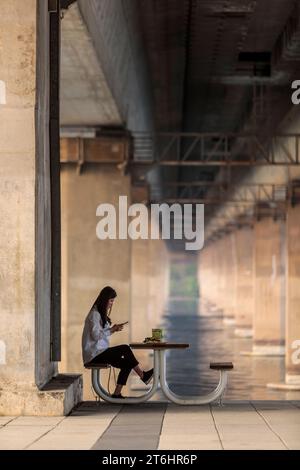 Young woman having picnic under bridge at Han River, South Korea Stock Photo