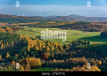 Balmoral Estates Crathie Scotland looking towards the Royal Lochnagar Distillery with autumn colours in the trees and leaves Stock Photo