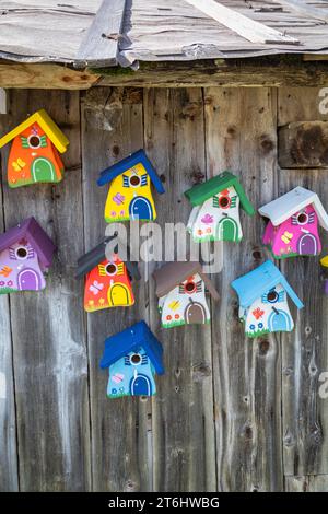 Colorful decorative bird boxes hanging on a wooden wall Stock Photo