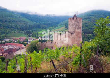 Kaysersberg Castle (French Chateau de Kaysersberg), sometimes called Schlossberg, is the ruins of a hillside castle in the Alsatian village of Kaysersberg Stock Photo