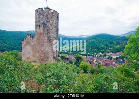 Kaysersberg Castle (French Chateau de Kaysersberg), sometimes called Schlossberg, is the ruins of a hillside castle in the Alsatian village of Kaysersberg Stock Photo