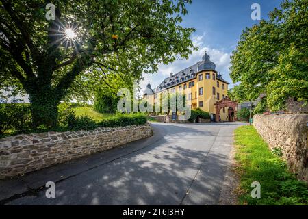 Entrance of Schloss Vollrads in the Rheingau, famous Prädikatsweingut, known for its top Riesling, built as a moated castle in the beginning, family property of the Counts Matuschka-Greiffenclau, Stock Photo