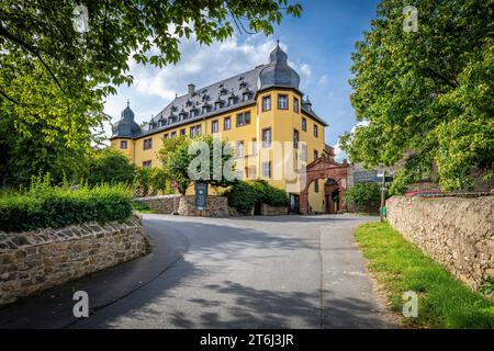Schloss Vollrads in the Rheingau, famous Prädikatsweingut, known for its top Riesling, built as a moated castle in the beginning, family property of the Counts Matuschka-Greiffenclau, Stock Photo