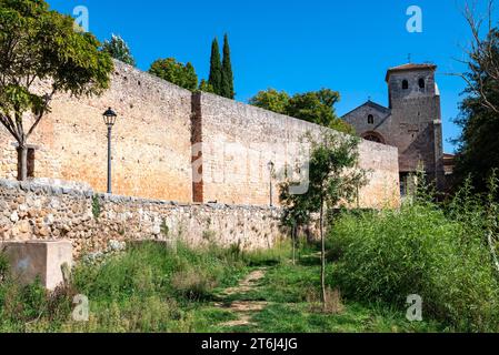 City wall and collegiate church of San Cosme y San Damian, Saint Cosmas and Saint Damian, Covarrubias, Province of Burgos, Castile-Leon, Spain Stock Photo