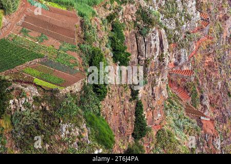 View from the glass-bottom skywalk viewing platform of the cliffs with terraced fields, Cabo Girao, Camara de Lobos, south coast, Madeira, Portugal Stock Photo