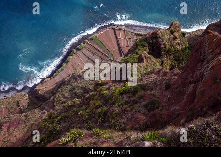 View from the glass-bottom skywalk, Cabo Girao, of terraced fields by the sea, Camara de Lobos, Madeira Island, Portugal Stock Photo