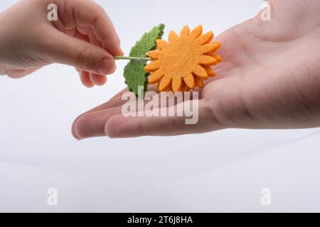 Baby giving a fake flower on a white background Stock Photo