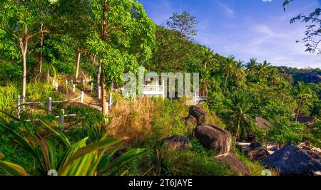 Bungalows photographed on the coast in Ko Tao Thailand hidden among palm trees and rocks and set in steps towards the ocean. Stock Photo